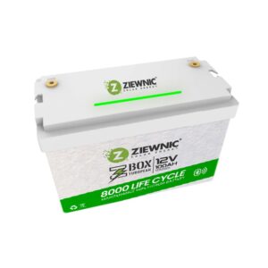 Ziewnic LITHIUM BATTERY POWER BANK 12V 100AH