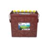 SolarMax SPRE 12 225 Trojan Battery's Solar